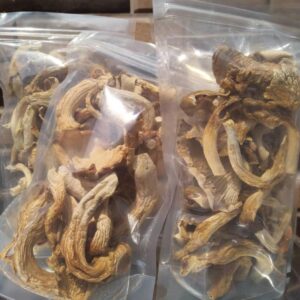 Oyster Mushrooms (dried) - 2 Packs