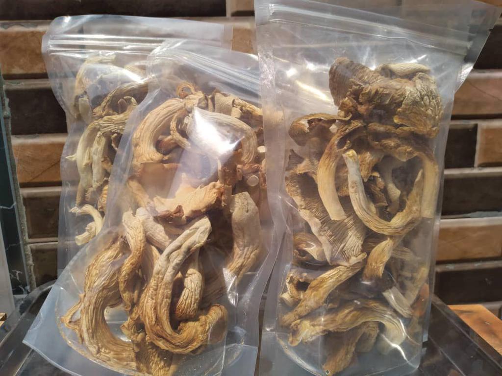 Oyster Mushrooms (dried) - 2 Packs